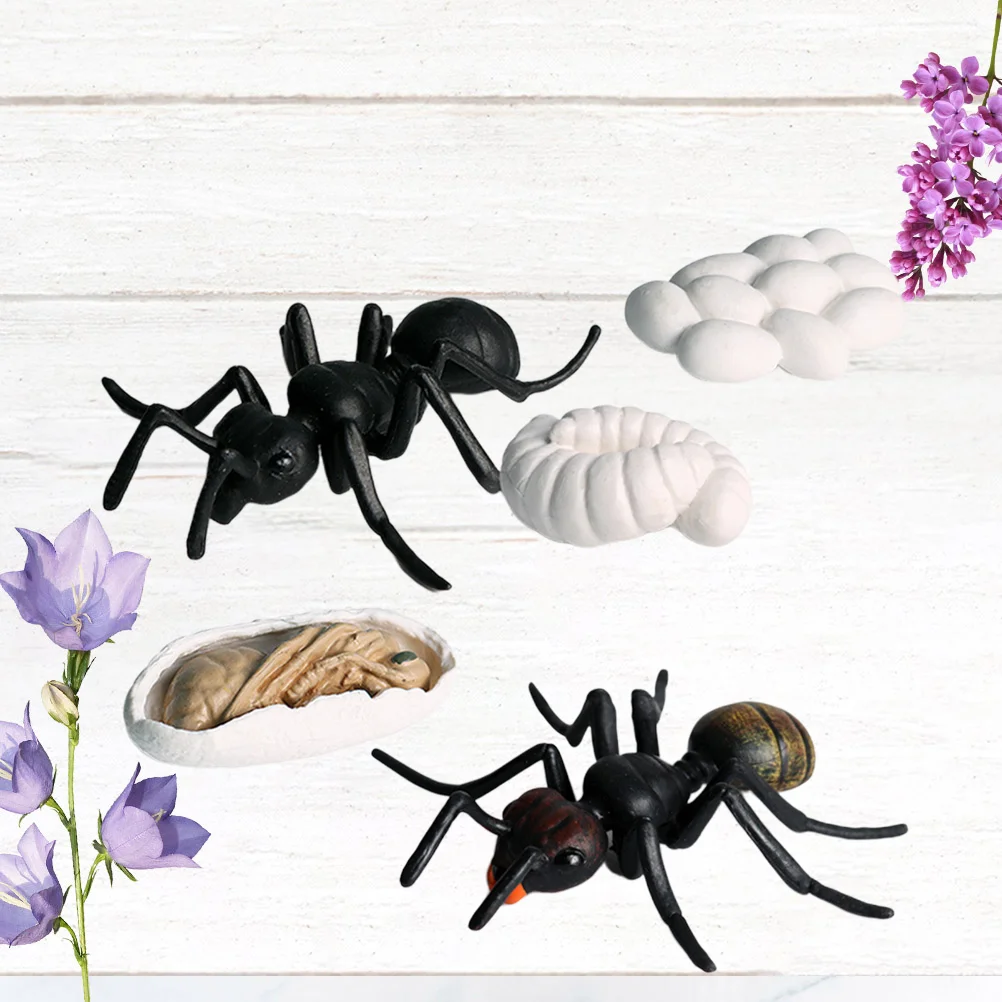 

5PCS Bug Figurine Set Funny Simulation Ant Growth Lifelike Insect Recognition Educational Plaything for Toddler Children Black