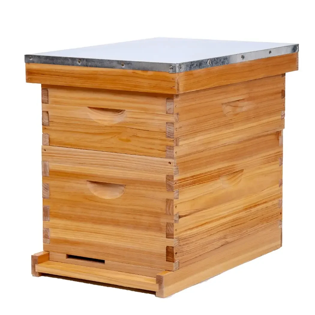 Langstroth Bee Equipment Пчеловодство пчелиный улей Boxs