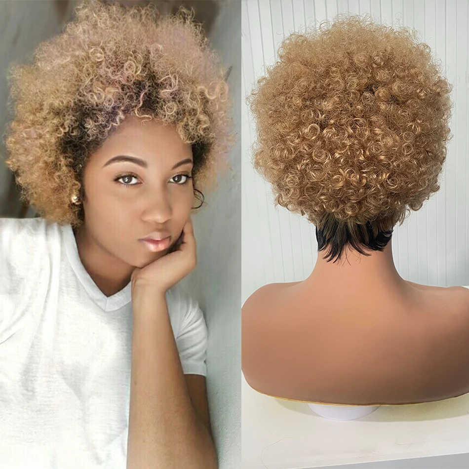 DreamDiana 100% Human Hair 13X4 Afro Style Lace Frontal Wigs Remy Indian Dark Roots Ombre Blond Kinky Afro Curly Lace Front Wigs
