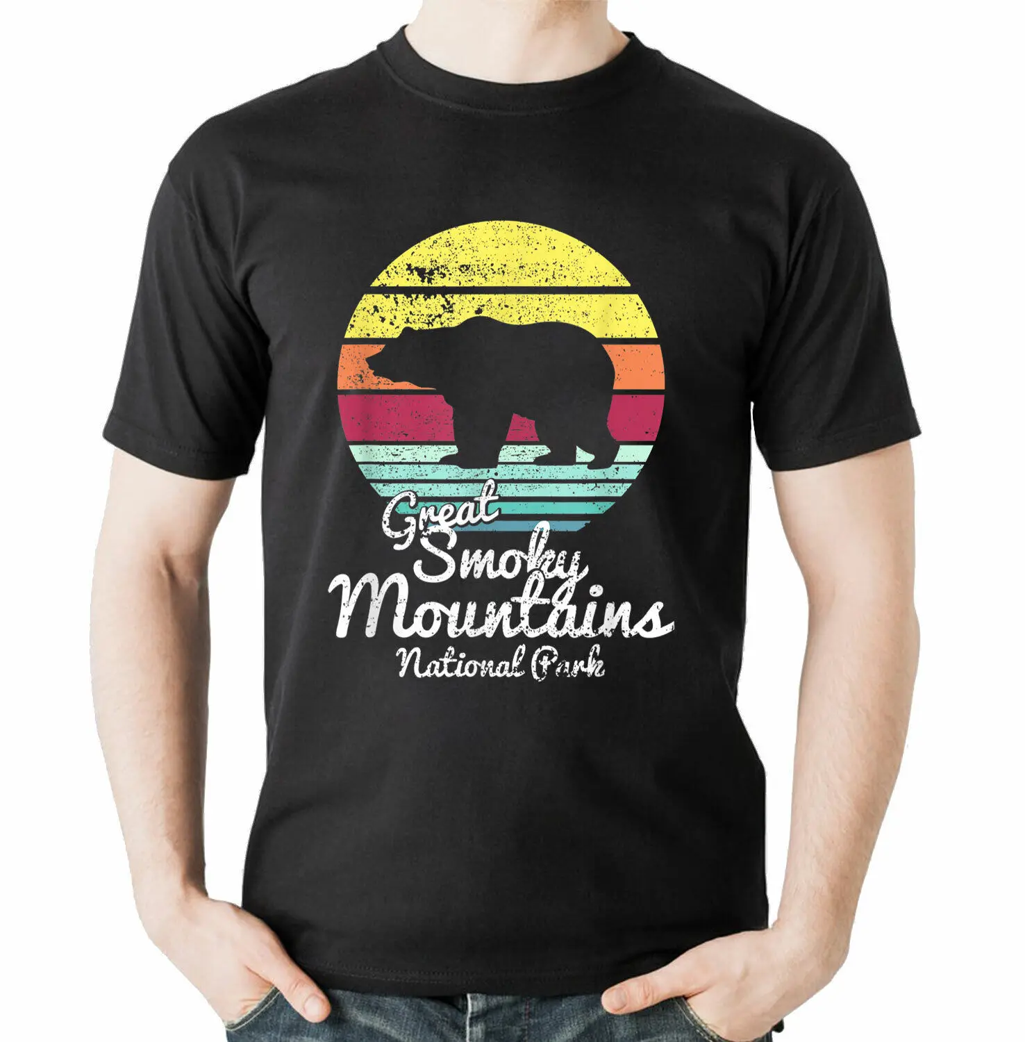 Футболка в стиле ретро с изображением больших Дымчатых гор национального парка TN