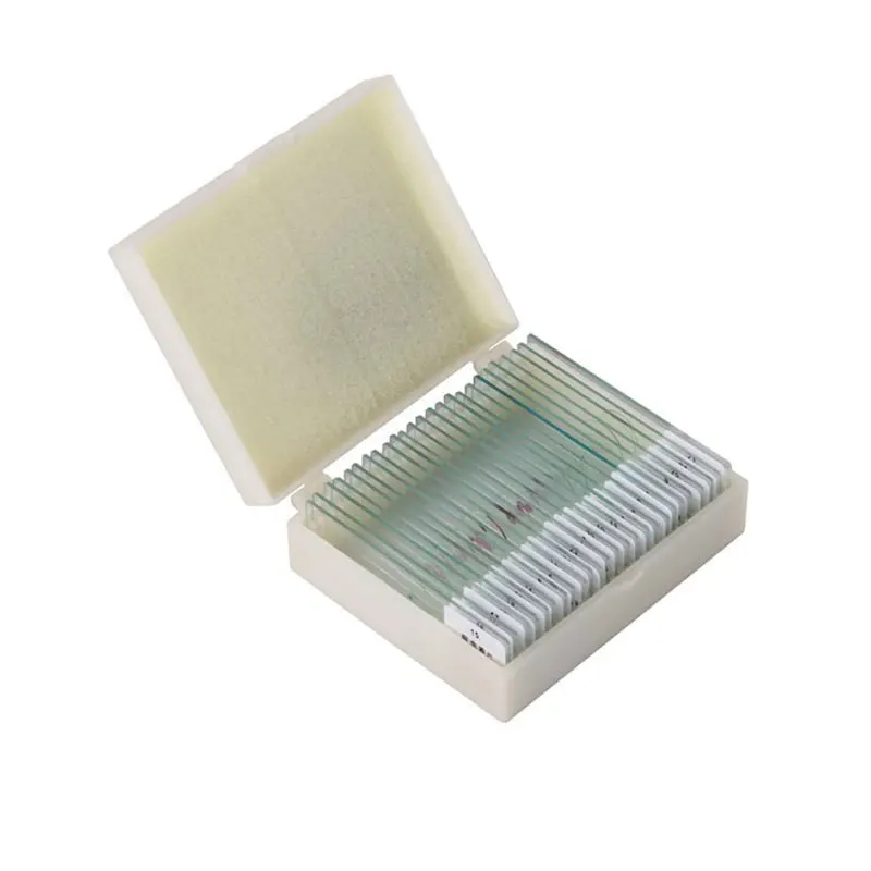 

25pcs Professional Glass Prepared Microscope Slides for Kids School Laboratory Education