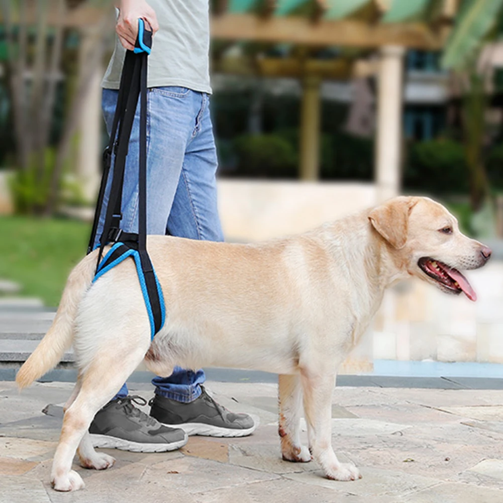 

Adjustable Dog Leash Lift Harness Back Legs Pet Support Sling for Elderly Dogs Walking Climbing Stairs Supplies