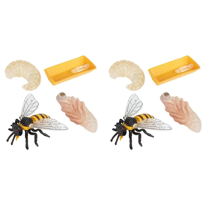 

Pack Of 8 Insect Figurines Life Cycle Of Honey Bee Realistic Insects Figures Toys Educational Science Model Toy