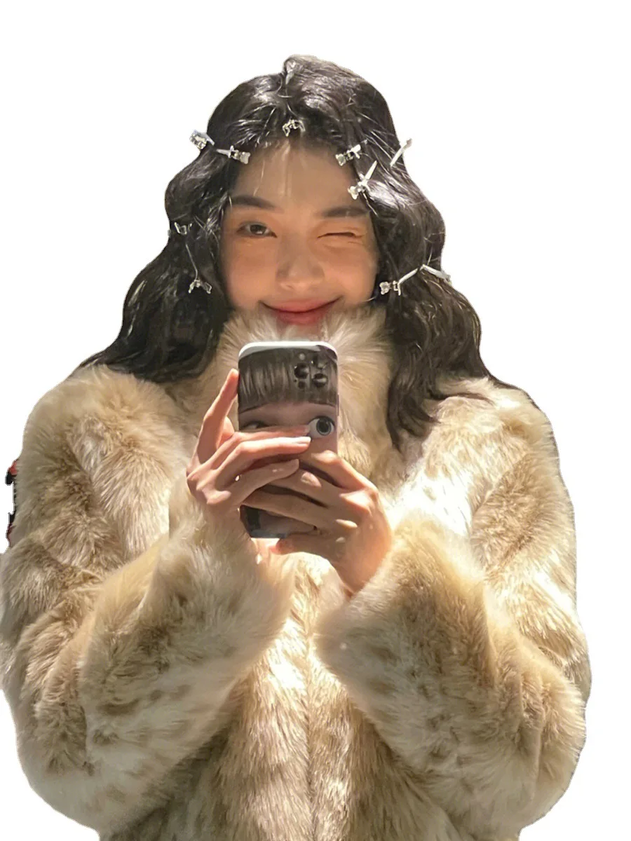 Рисунок 5 - Дизайнерская зимняя Европейская