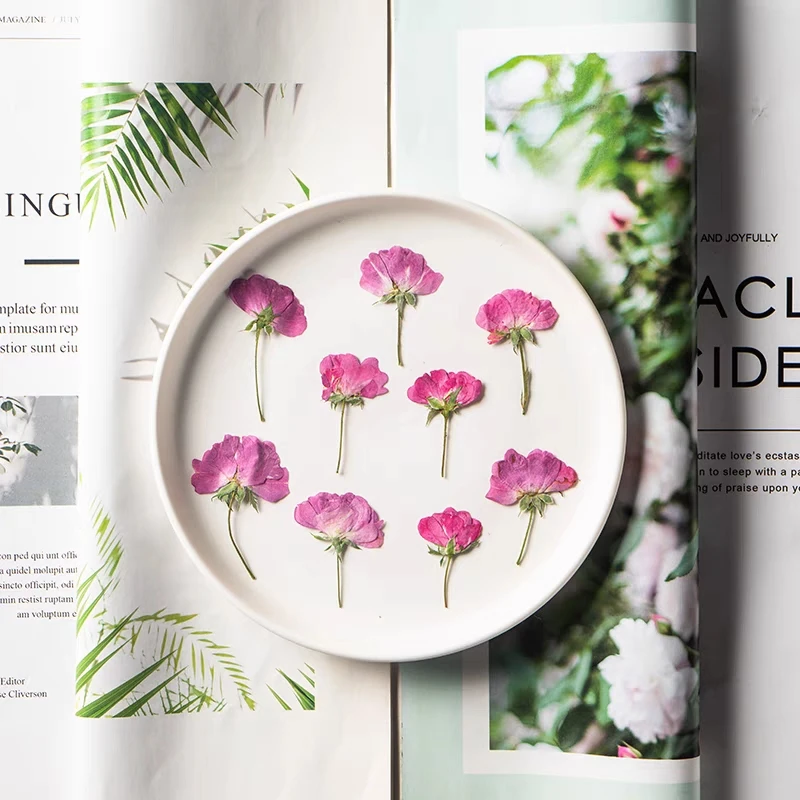 

120pcs Pressed Dried Hot Pink Side Rose Flower Herbarium Resin Epoxy Jewelry Card Bookmark Frame Phone Case Fan Makeup Lamp