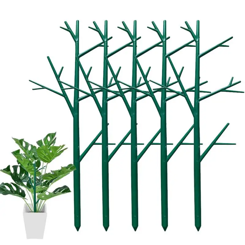 

Small Trellis For Potted Plants Trellis For Climbing Plants Indoor 5 Pcs Plant Support Houseplant Trellis For Small Plants