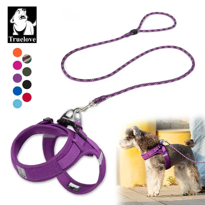 

Truelove Designer Cat Dog Harness And Leash Set Adjustable Escape Proof Soft Nylon For Small Medium Dogs Running Training Sport