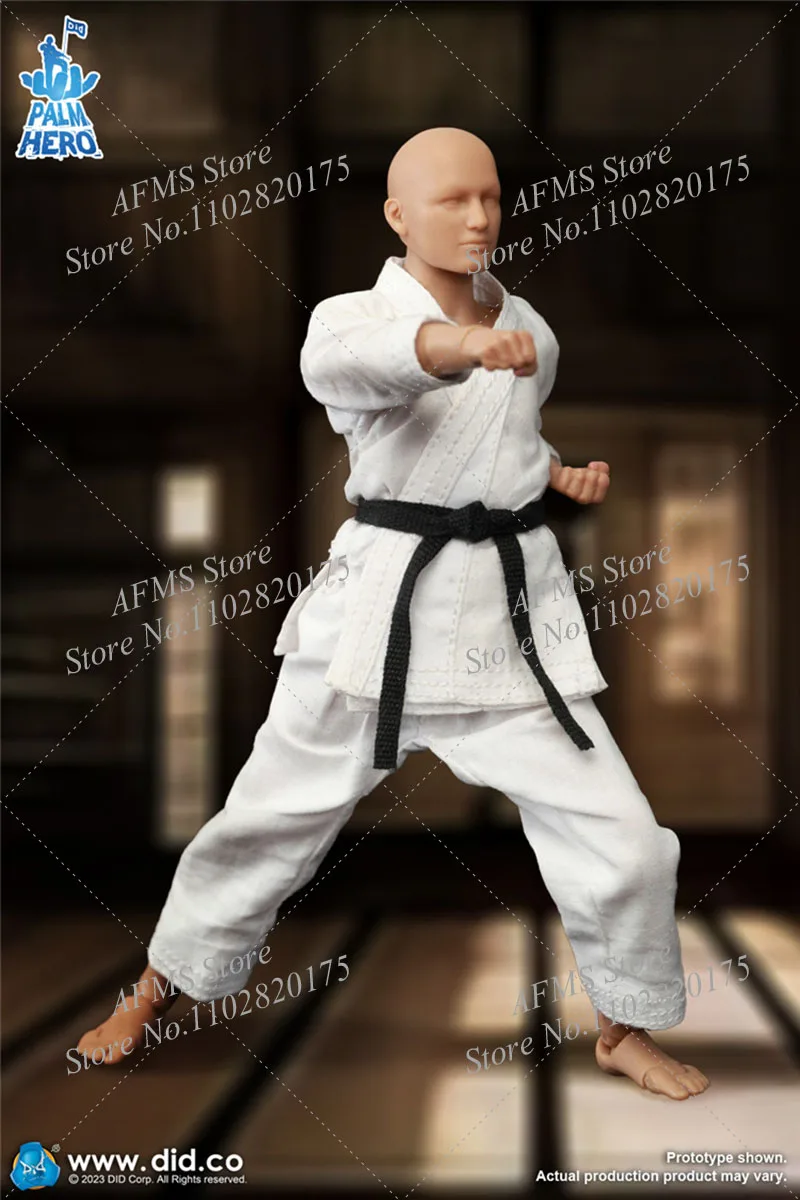 Hot Toys The Simply Fun DID SF80001 1/12 Мужская фигурка каратиста