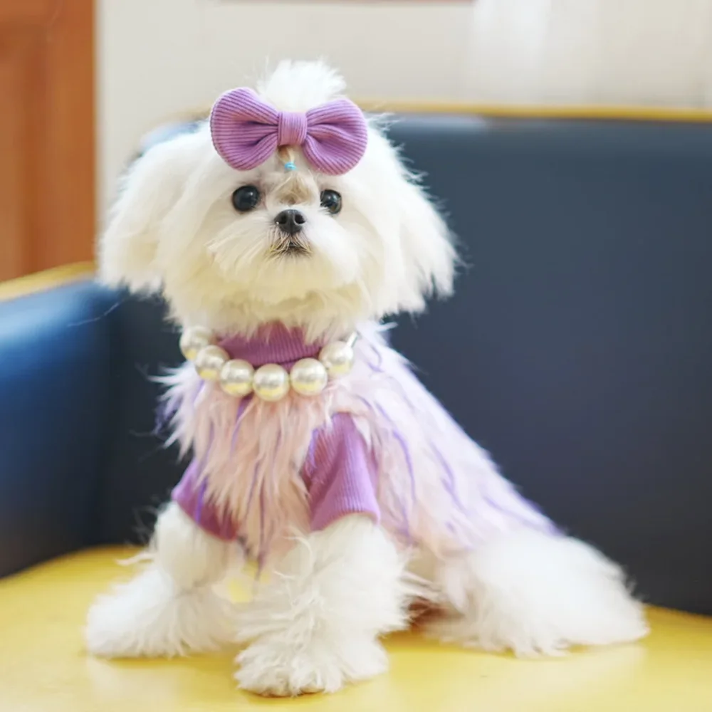 

Одежда для щенков, зимняя, осенняя, модная, теплая кошачья кофта, свитер для домашних животных, милый, дизайнерский, искусственный Йоркширский Померанский чихуахуа