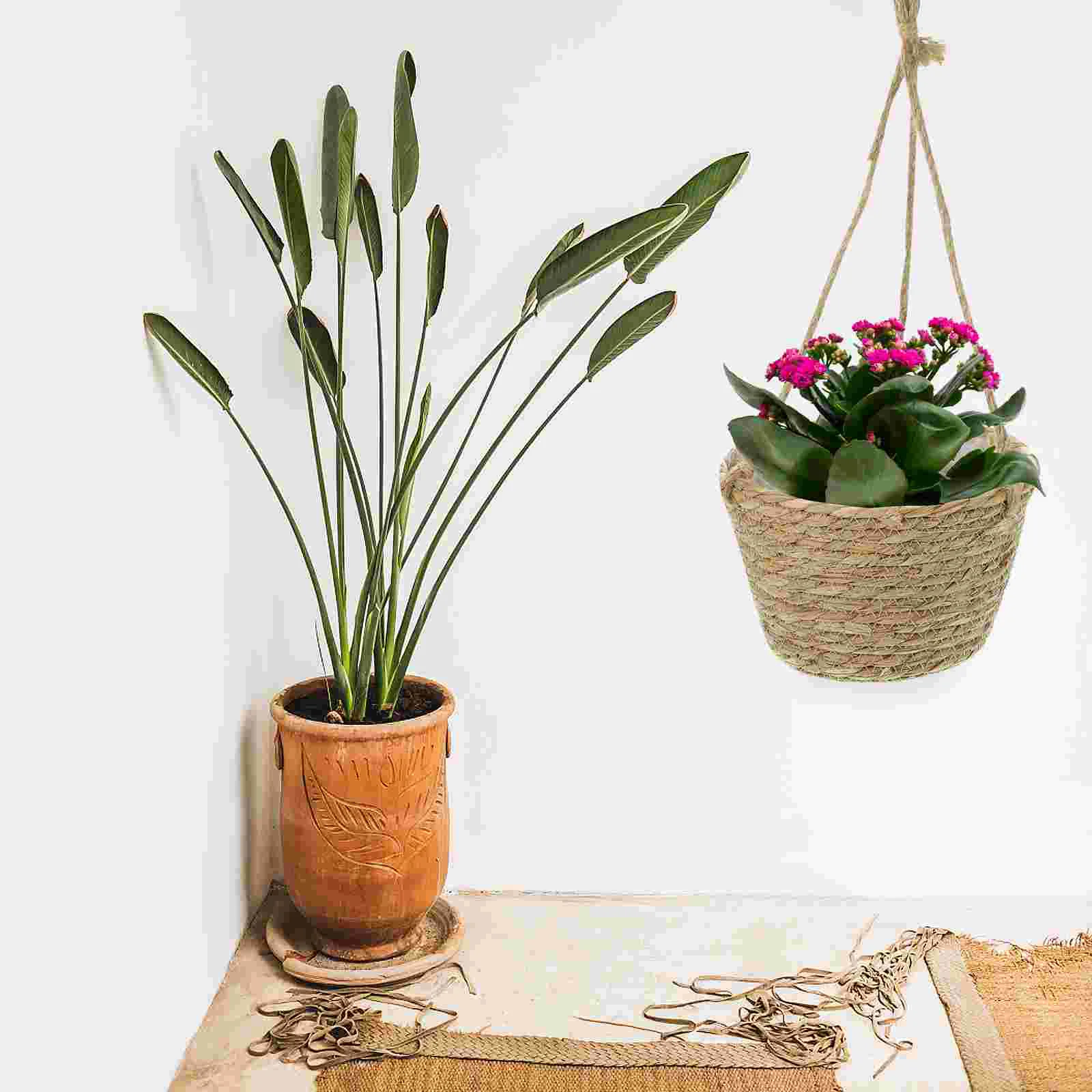 

Wall Holder Succulent Planters Hanging Indoor Plants Flower Pots Rattan Cattail Grass Holders For flowers