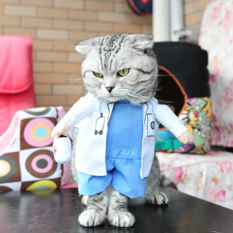 Костюмы для домашних животных на Хэллоуин Забавный костюм Доктора собак и кошек
