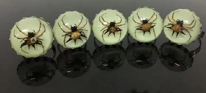 

12 pcs spider ring glow in dark chic jewelry