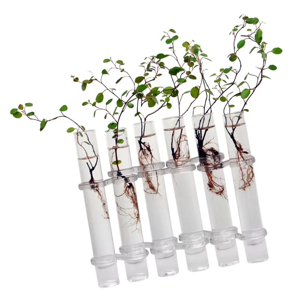 

NEW 6Pieces Creative Glass Test Tubes Hanging Bottle Micro-Landscape Planter Vase Pot