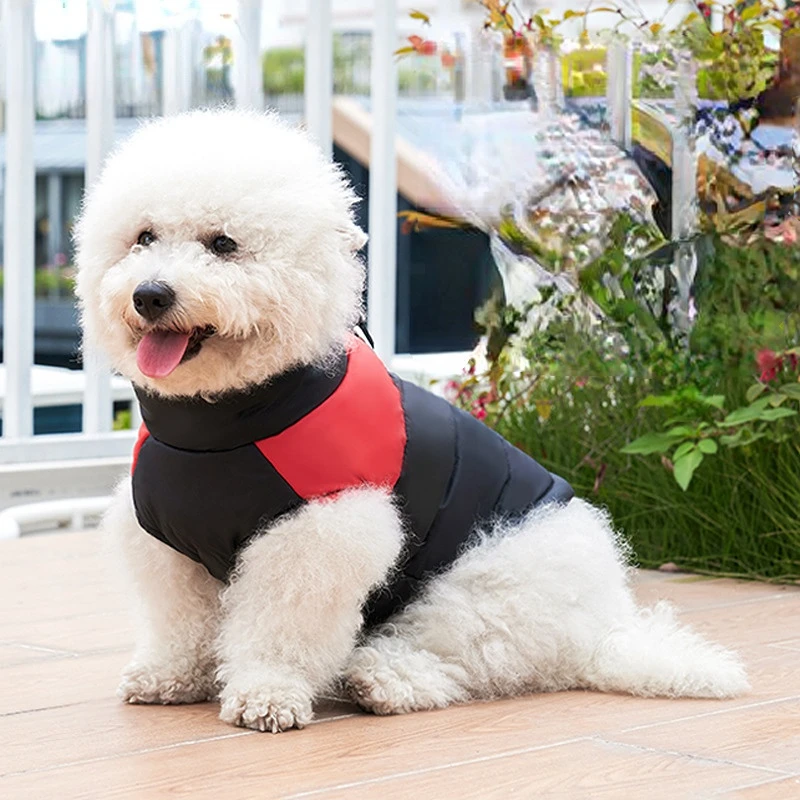

Winter Dog Four-Legged Clothes Cotton-Padded Clothes All-Matching Classic