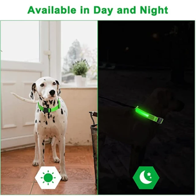 Adjustable Glow in the dark Dog Collar 3