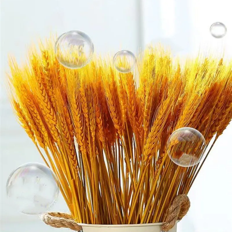 

50Pcs Real Wheat Ear Natural Dried Flowers Artificial Flowers Like Real Wedding Bouquet For Bride Birthday Decoration Flower Bou