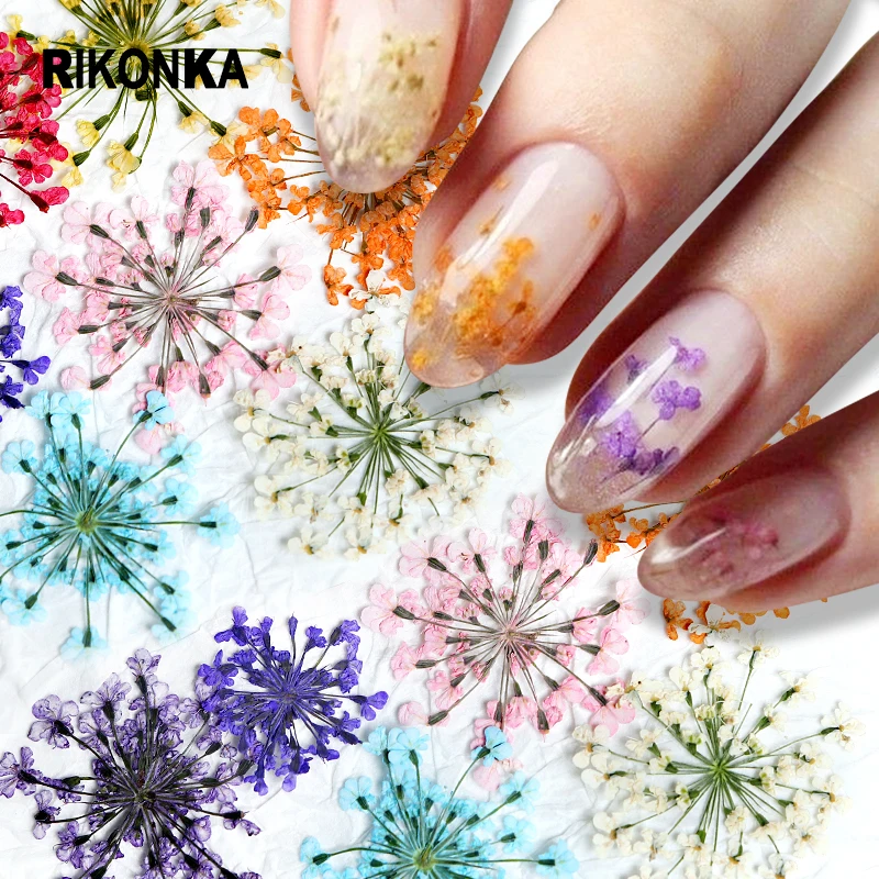 

10 Pcs 3D Dried Flower Colorful Plant Jewelry Kit For Manicure Summer Polish Nails Charms DIY Epoxy Resin Parts Accessories Tips