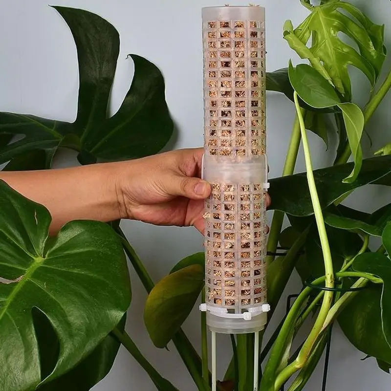 Полимерный Стабилизированный Мох Пластик Сфагнум Орхидея И Монстера Поддержка