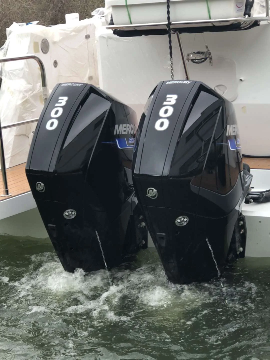 Рисунок 3 - Подвесные двигатели Yun YiMercury