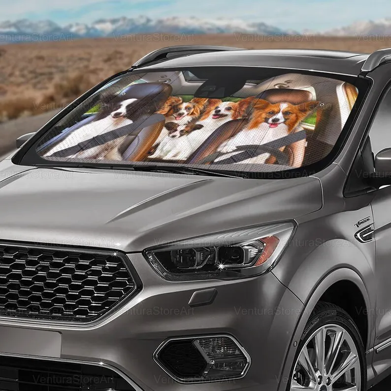 Рисунок 3 - Солнцезащитный козырек для автомобиля