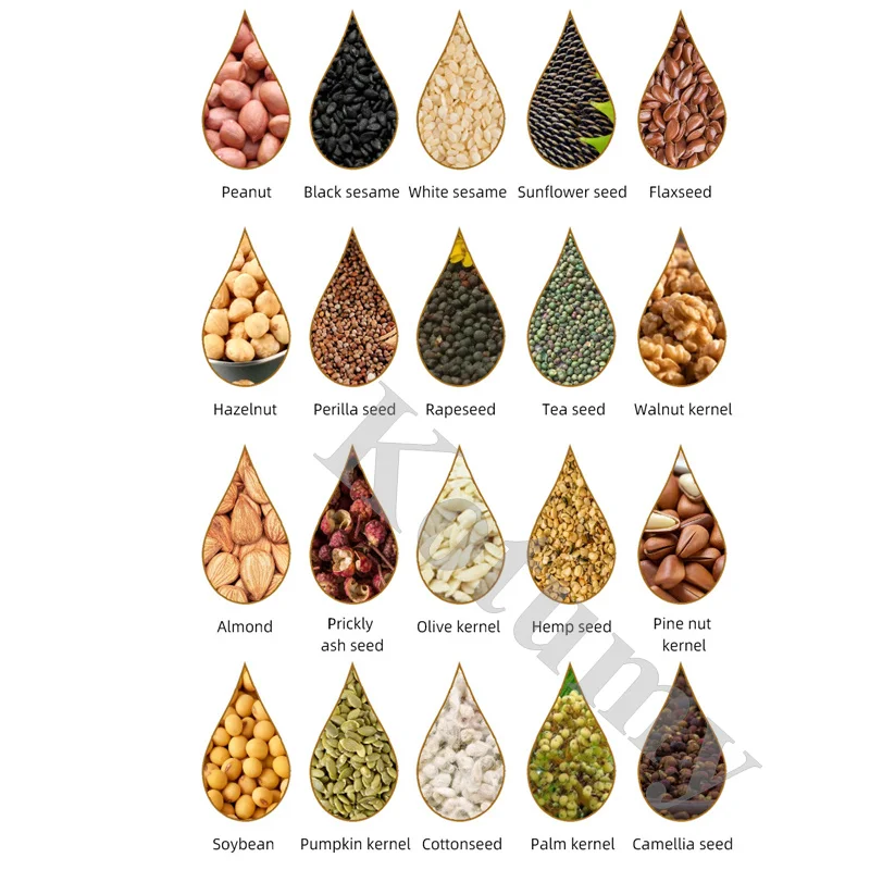 Электрический пресс для масла автоматический экстрактор из нержавеющей стали