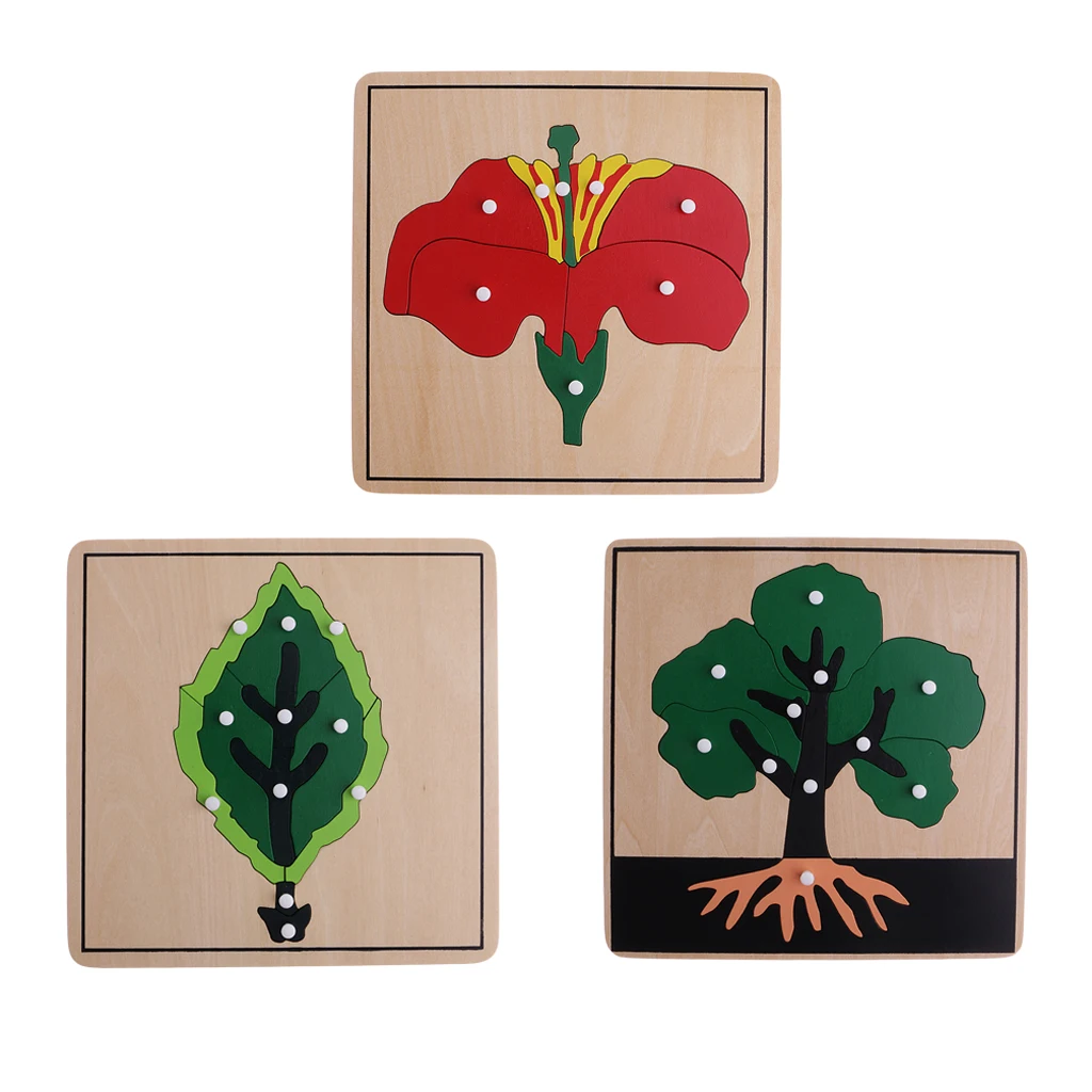 Montessori Botany Material - 3 Plant Shape Puzzles for Kids Educational Toys