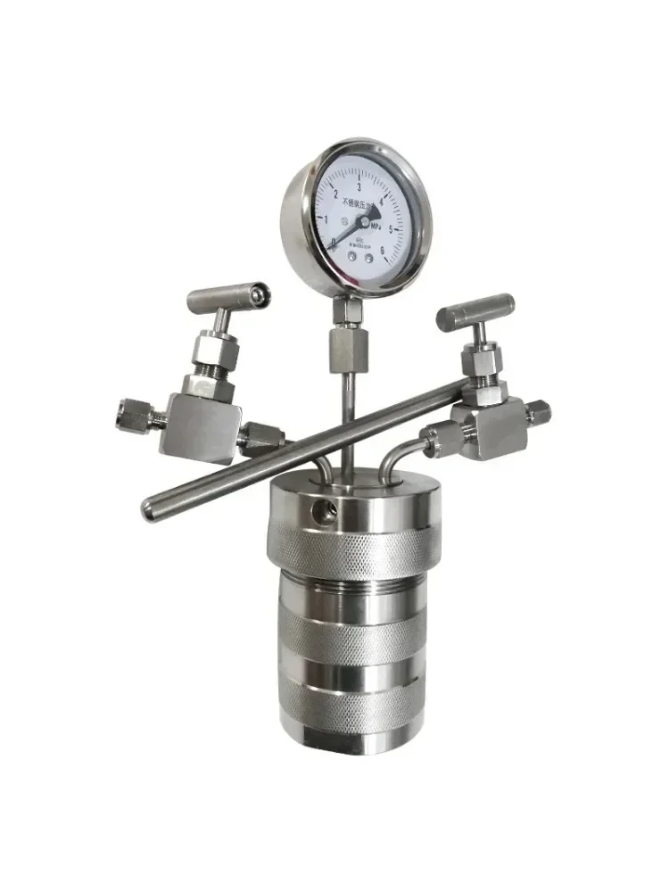 Гидротермальный синтез Автоклав Реакторный сосуд + манометр на входе 100 мл 6 МПа