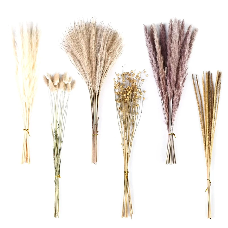 

100PCS Dried Pampas Grass Decor,White Pampas Grass - Boho Home Wedding Party Decor Dried Flowers Arrangements