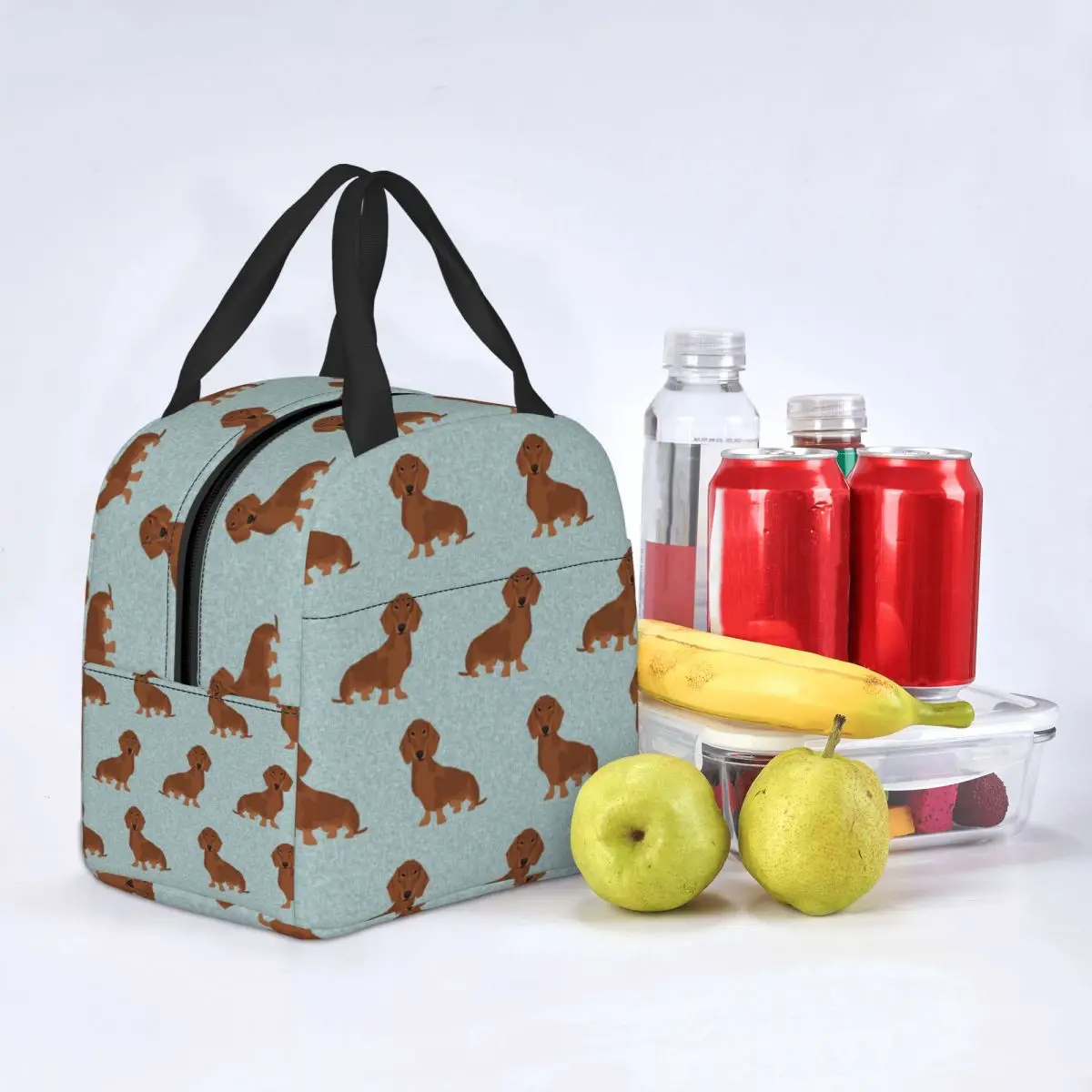 Lunch Bag for Women Kids Dachshund Dog Thermal Cooler Bag Portable Picnic Travel Animal Canvas Lunch Box Food Bag