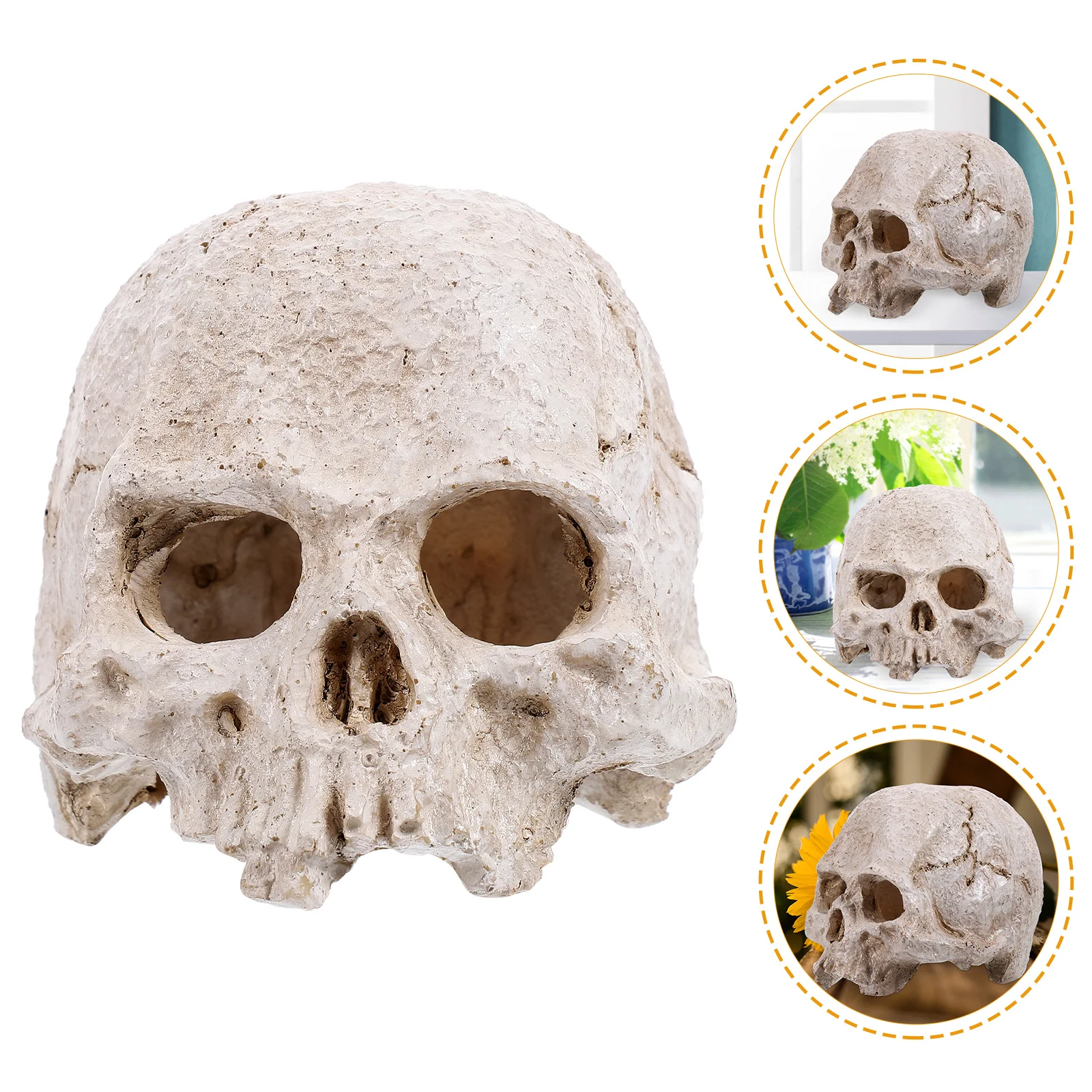 

Human Decor Fake Resin Ornament Halloween Home Decorate Anatomy Model