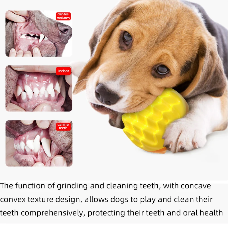 Аксессуары для домашних животных: эластичный мяч жевания кошек и собак