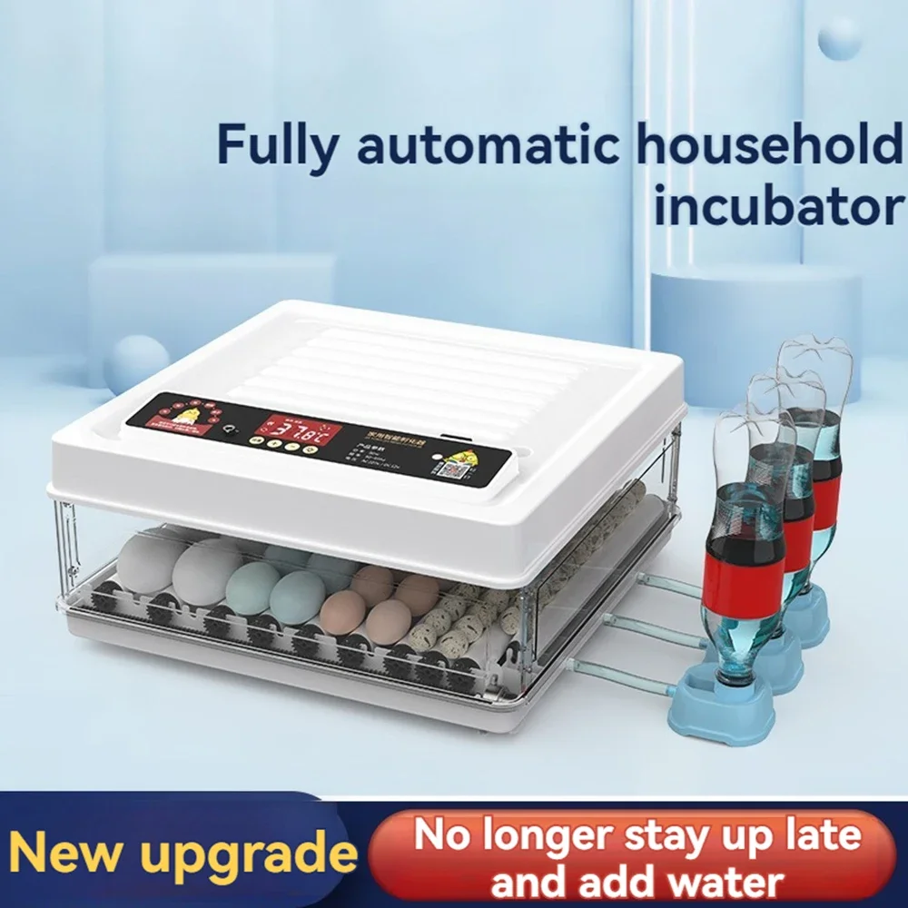 Портативная согревающая машина для куриных яиц Dual Power автоматический маленький