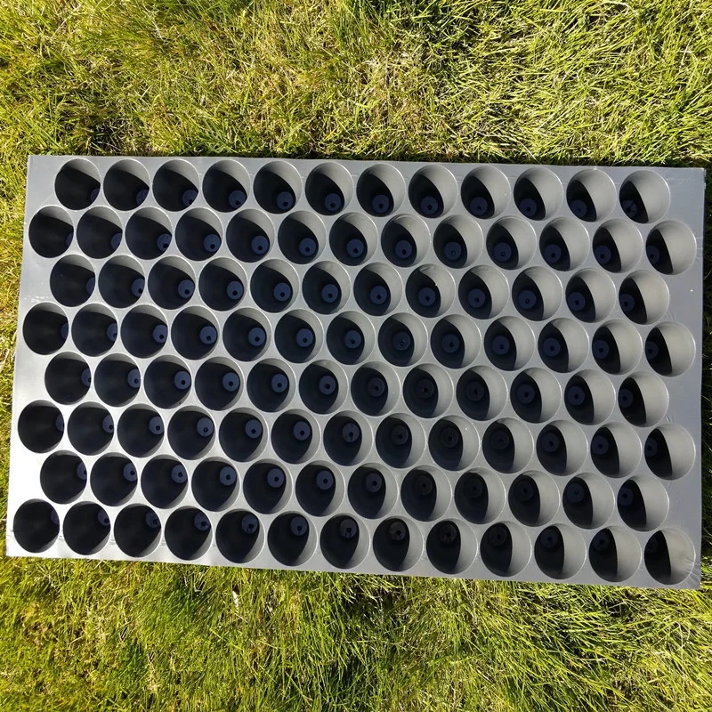 

Plant Nursery Tray 48 or 54 Holes Plastic Planting Nurture Box Garden Flowers Fruit And Vegetable Transplanting Supplies Tools