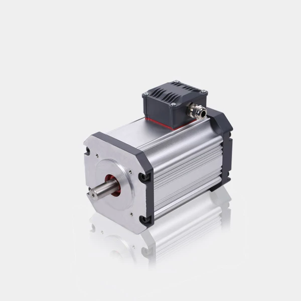 

Customized BLDC 60Vdc 3000W 2000RPM DC motor