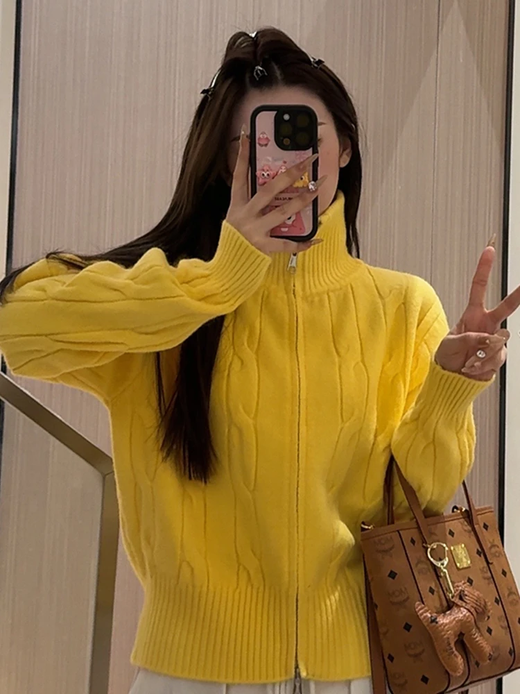 Purple Turtleneck sweater Outerwear Women 2024 Autumn and Winter New High-Grade Short Zip-up Knit cardigan Top Thickened