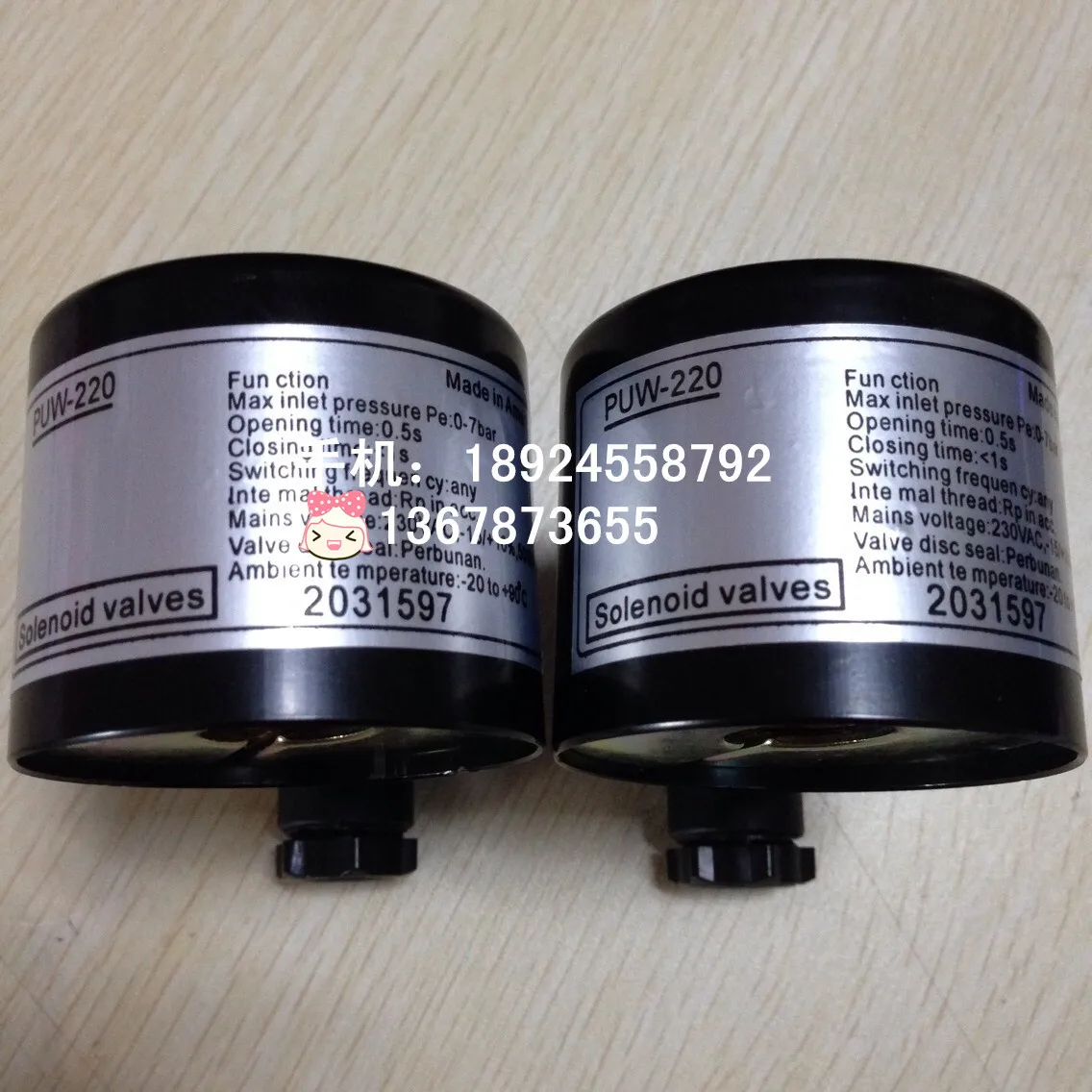 

PUW-220 катушка электромагнитного клапана DN15, DN20, DN25