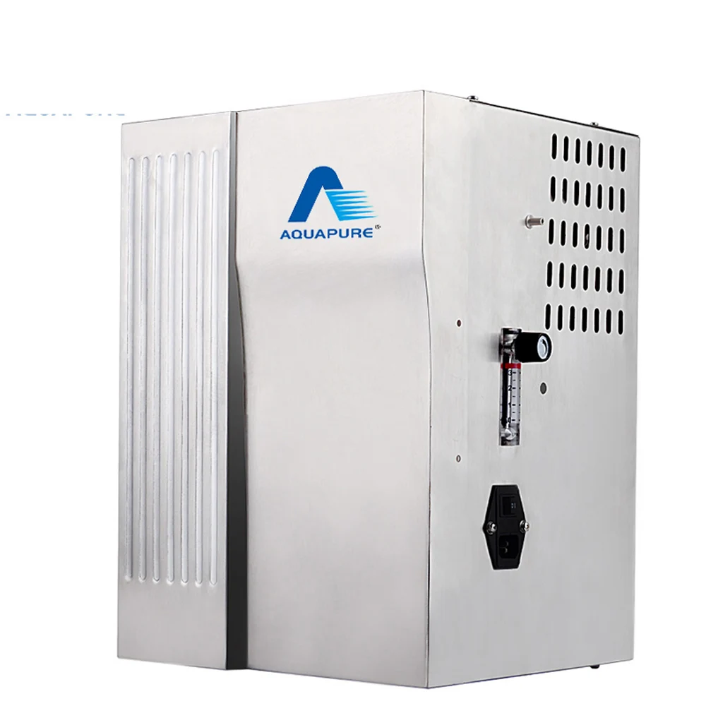 

10g water treatment machine ozone generator use for Swimming pool, fish pond