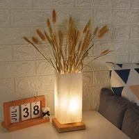 USB Decoration Home Wheat Ear Bedroom Plug in Lamp Led Lights for Room Plant Sample Table Bedside Night Lighting Lamps