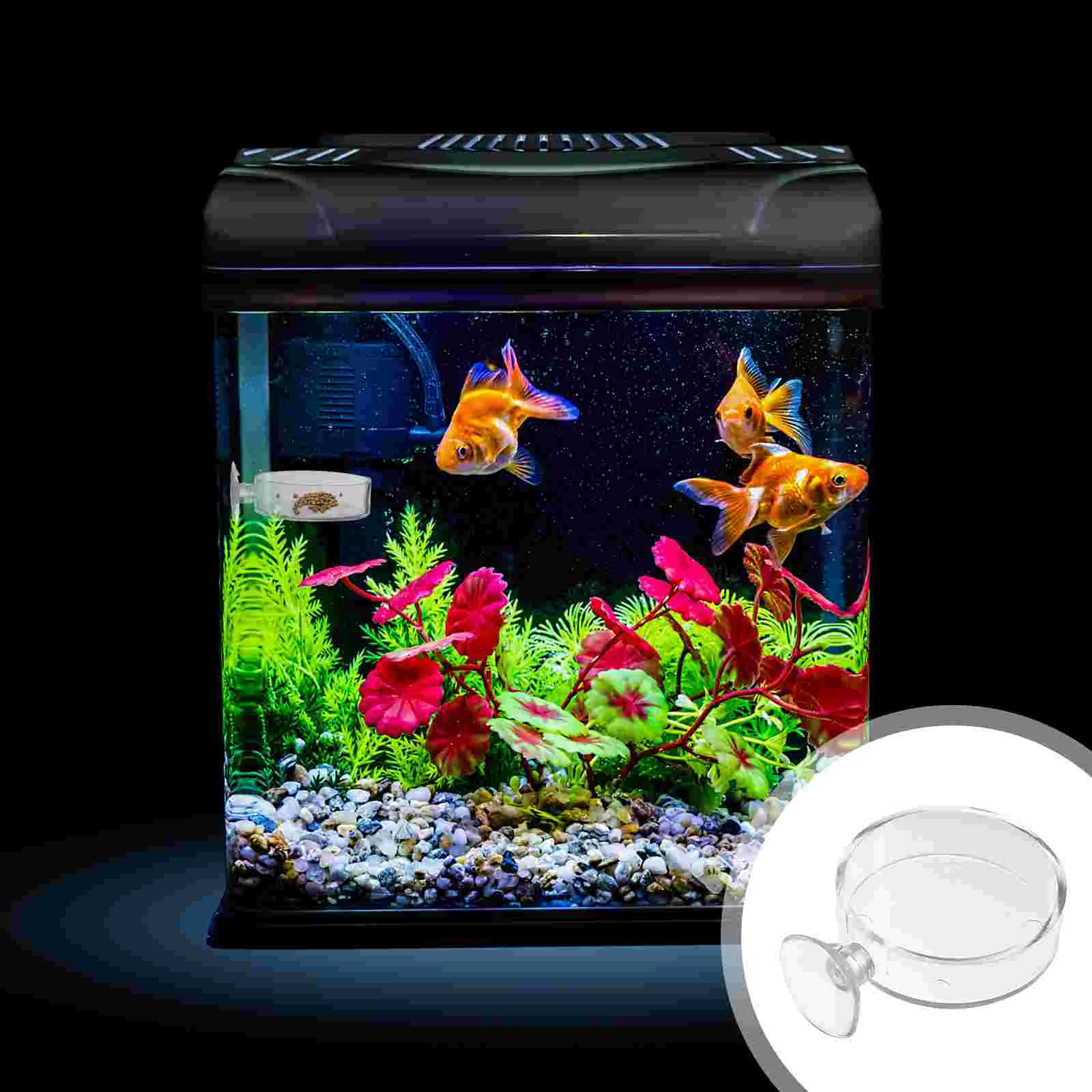 

Feeder Feeding Bowl Tank Shrimp Dish Aquarium Acrylic Tray Home Cup Worm Dishes Floating Reptiles Snail Box Suction Red Cone