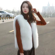 New Autumn Winter Imitation Mink Vest Coat Women's Korean Imitation Fox Fur Vests Thick Outerwear Female Casual Hairy Waistcoat