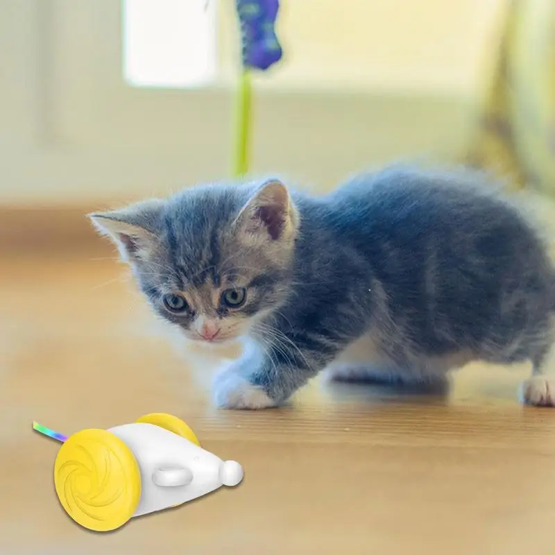 

Автоматическая игрушка для кошки, для использования в помещении