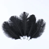 50pcs black natural ostrich feather wedding party scene decoration clothing dress sewing accessories home feather ornament
