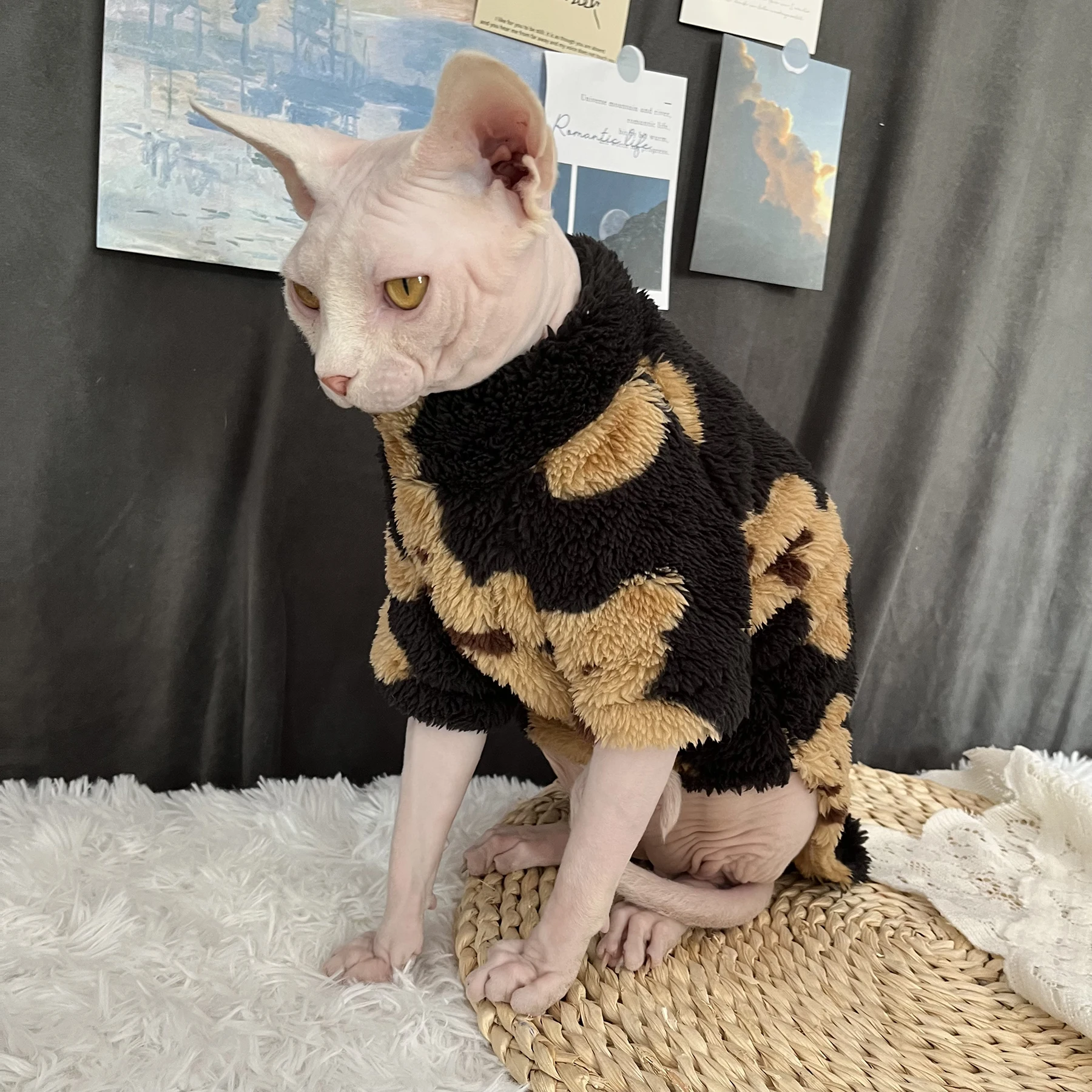 Bear Fall Winter Sphinx Apparel cat Clothes warm thick Beerus Devin Rex Costume Sphynx Costume Hairless cat clothes cat sweater