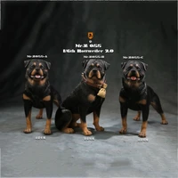 16 scale figure scene accessories simulation animal mr z animal model no 55 police rottweiler model for 12 action figure