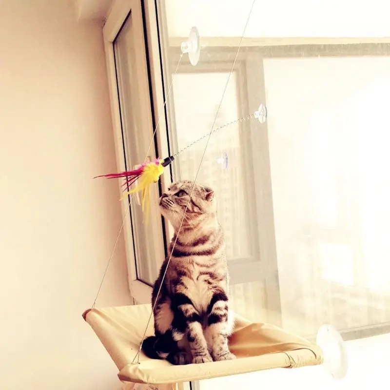

Feather Toys Suction Cup Feather Toys Pet Kitten Teaser Interactive Toys Pet Catcher Teaser Toys for cat Indoor Play