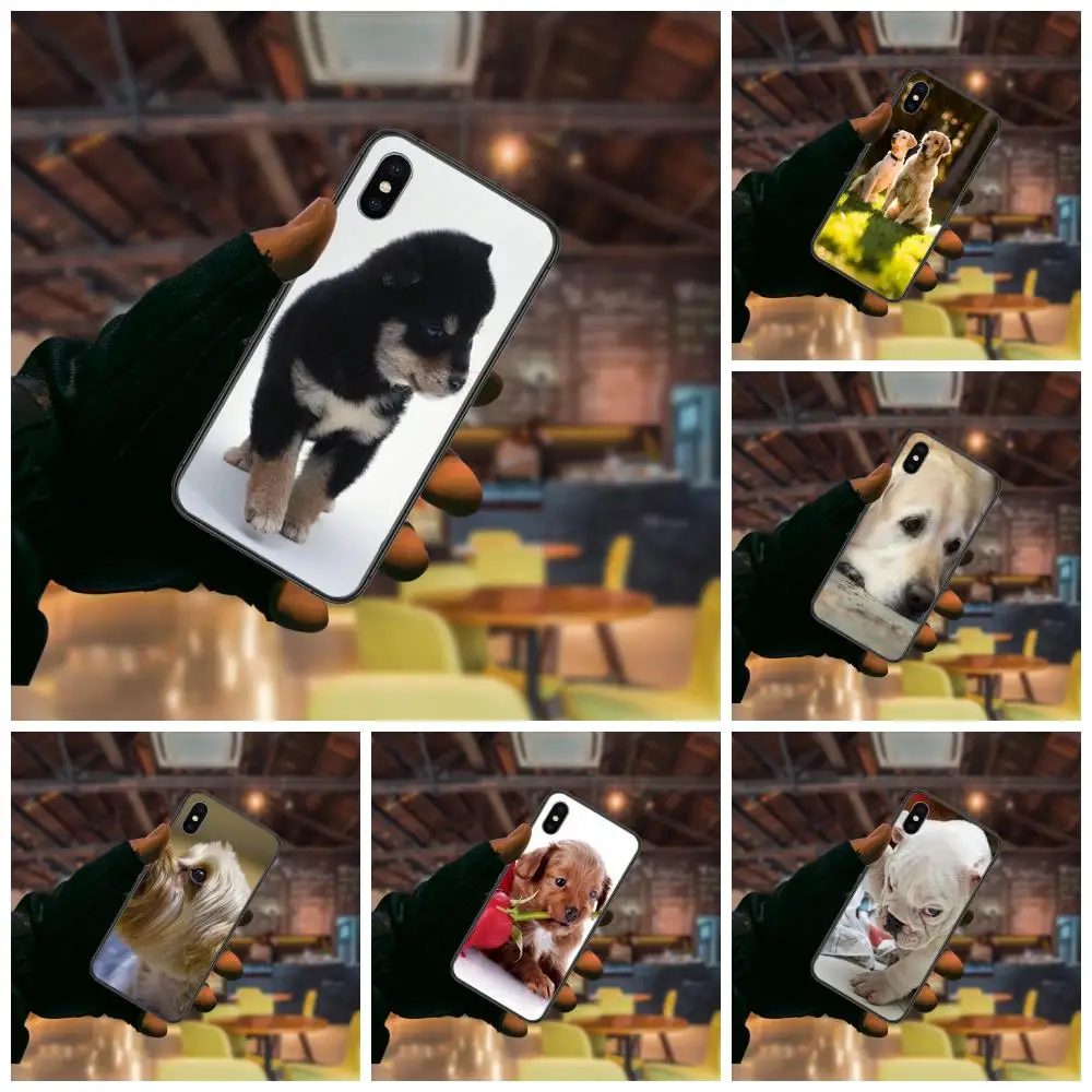 Черный чехол для телефона мягкий 3D Huawei nova 9 8i 8 7 7i 2s 3 3e 3I 4 4E 5 5i 5T 5z 6 Pro Se пушистый