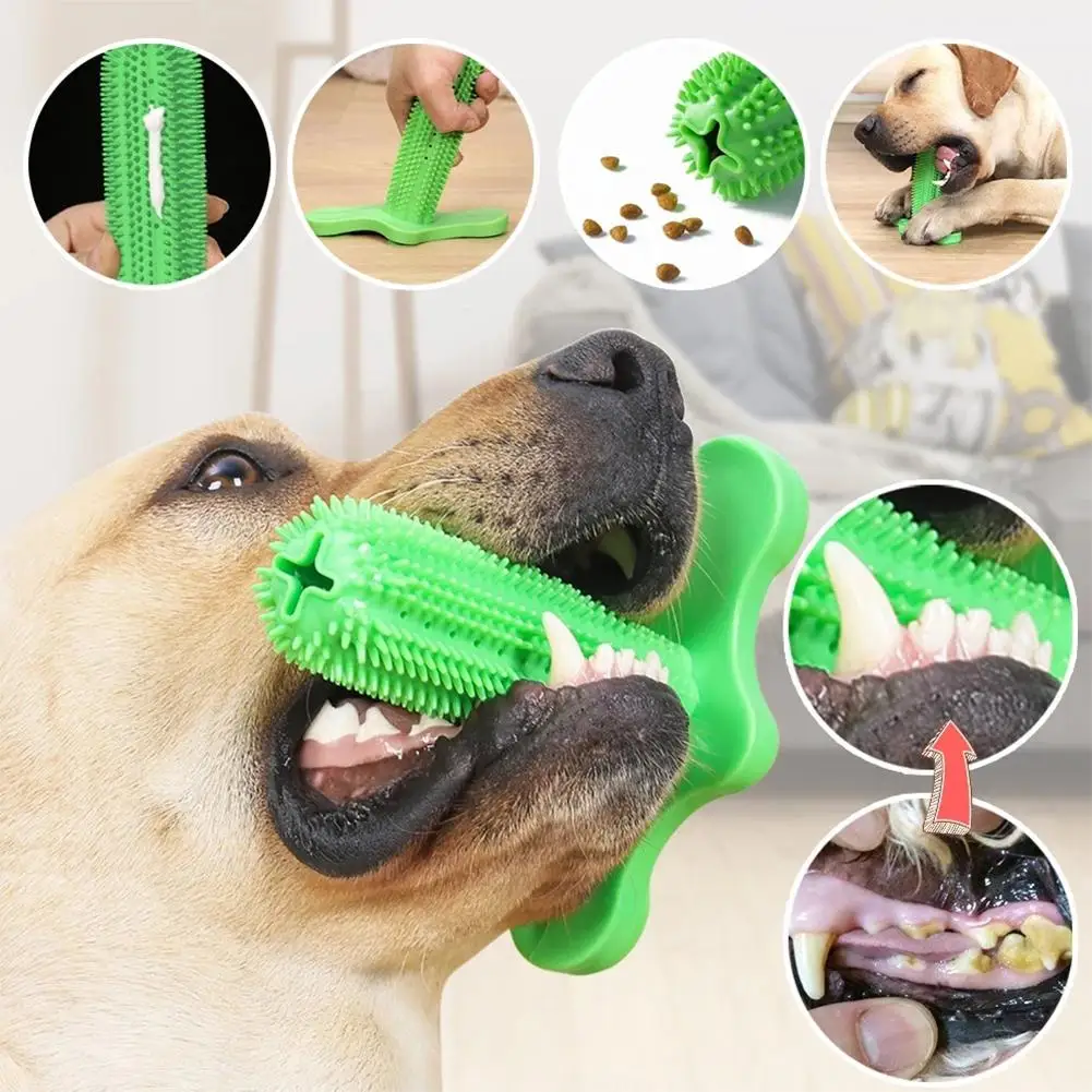 

Rubber Molar Bite Resistant Dog Toys Teeth Cleaning Toothbrush Chewing Training Games Interactive Toys Accessories Pet Products