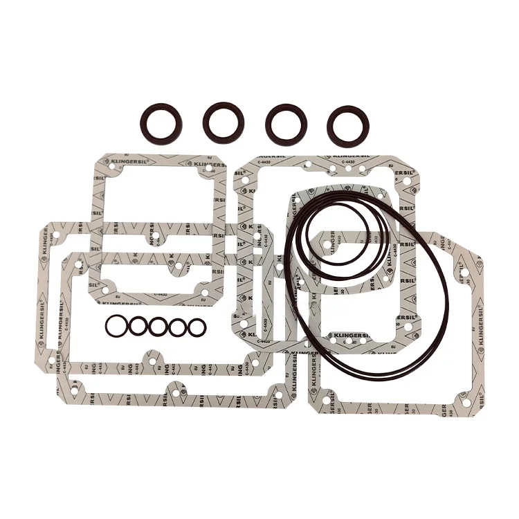 Комплект для ремонта вакуумного насоса busch RA0302D RA0250D комплект обслуживания 1 шт.