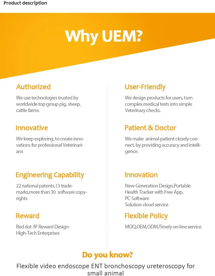 BMV BIV-11Hd эндоскоп для домашних животных гибкое видео ветеринарное оборудование