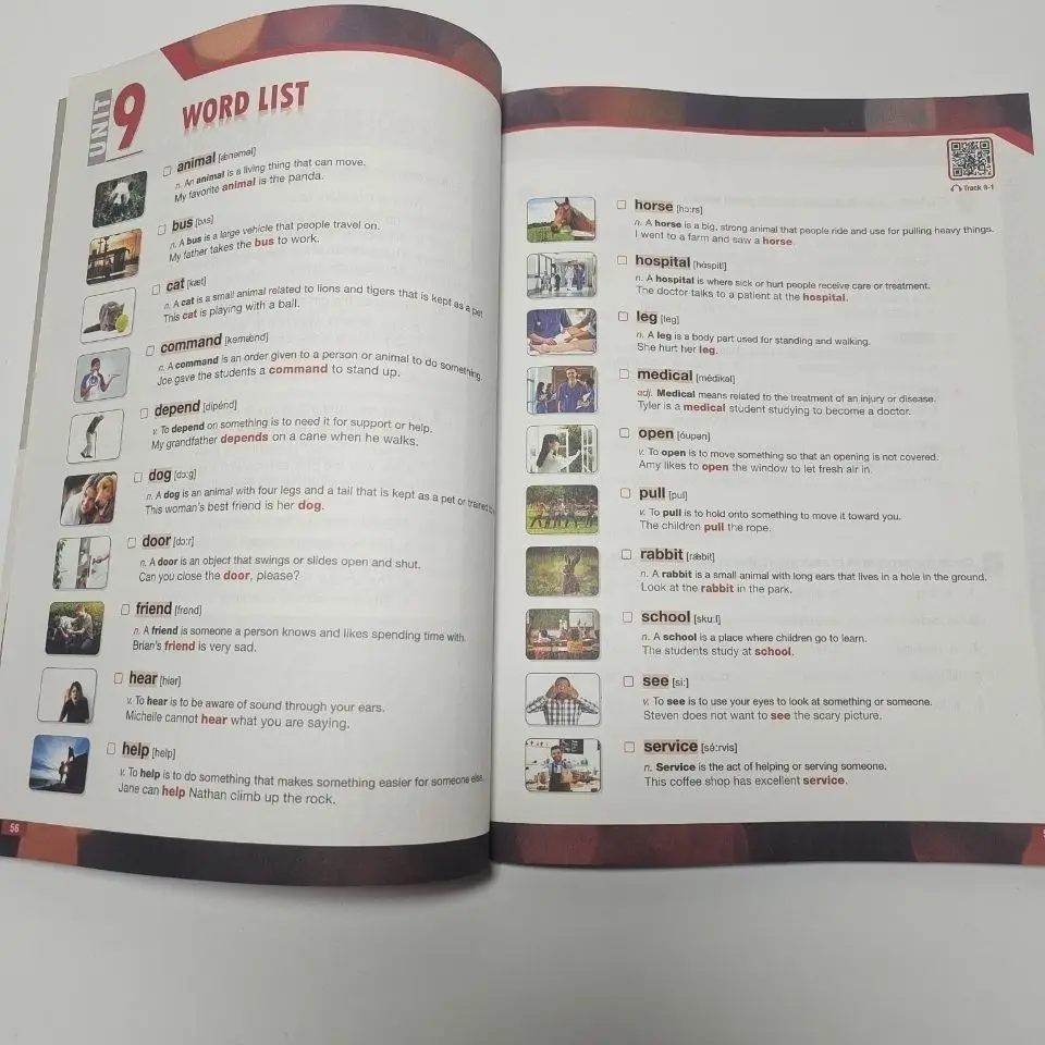 Набор для изучения английского языка Essential English Level 1-6